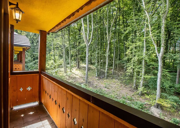 Koliba Expo Hotel 3*